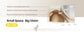 Transpeed Android 14 Wifi6 260ANSI Projector AllwinnerH726 1280*720P 8K180° flexible BT5.4 Home Cinema Outdoor portable Projetor